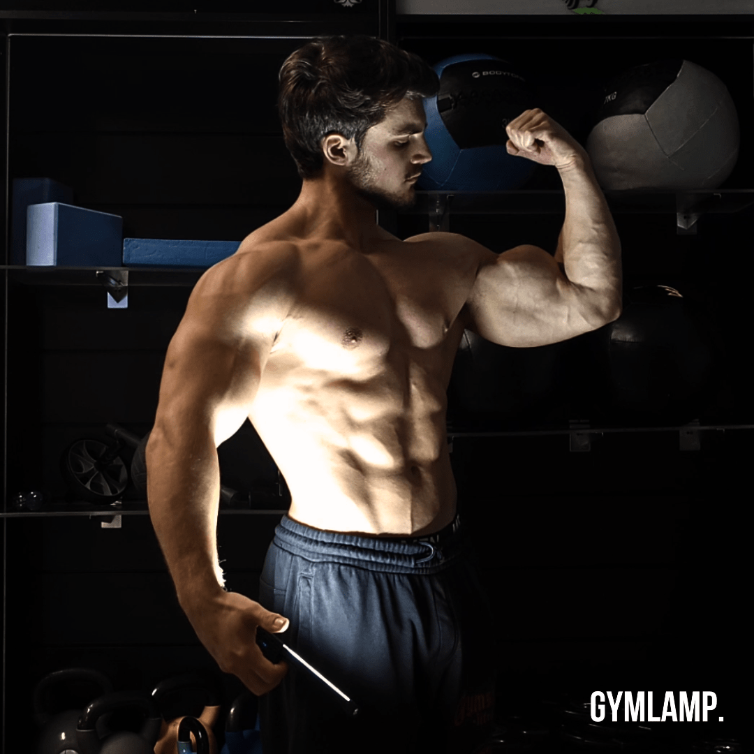Gym Lamp for Posing, Gym Light Posing Lights for Bodybuilding, Portable Magnet LED Flashlight with 7th Gear Dimming & 180 Degree Folding USB Rechargeable Gym Lighting