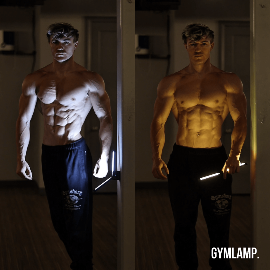 Gym Lamp for Posing, Gym Light Posing Lights for Bodybuilding, Portable Magnet LED Flashlight with 7th Gear Dimming & 180 Degree Folding USB Rechargeable Gym Lighting